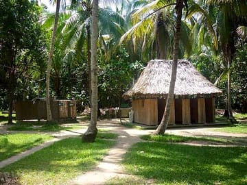 Palm trees dotted throughout the site