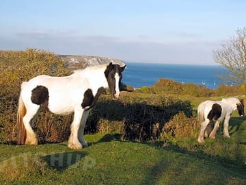 Our neighbouring nature reserve
