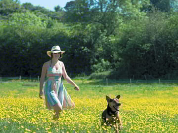 Bring your dog for countryside walks