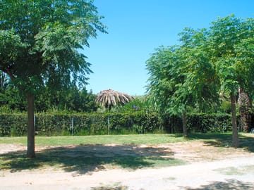 Pitch under the shade of trees