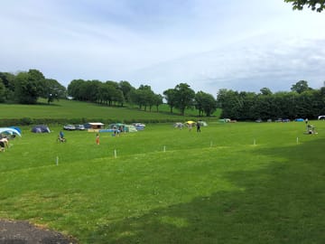 The paddock