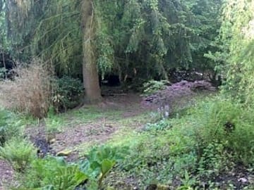 Adjoining woodland walk
