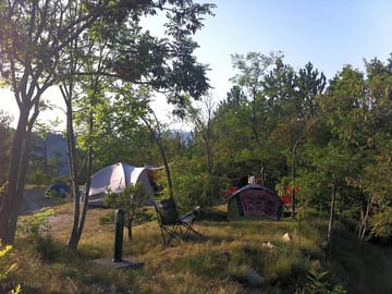 Pitches among the trees