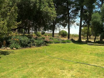 Pitch up by the trees