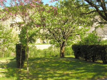 Large, shaded pitches marked out by hedges