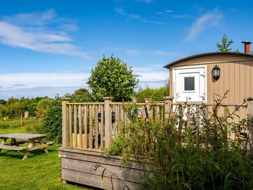 Shepherd's hut