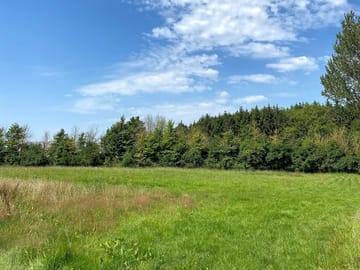 Relaxing view from the pitches