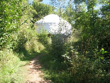 Among greenery