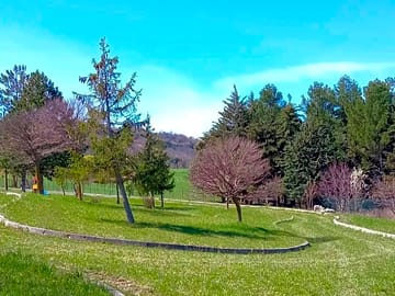 View of the site