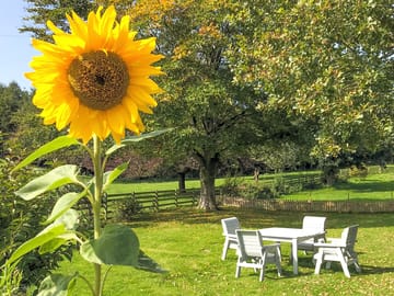Private garden area