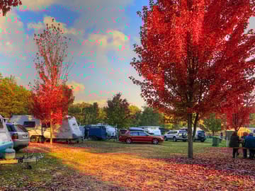 Fully-serviced grass pitches