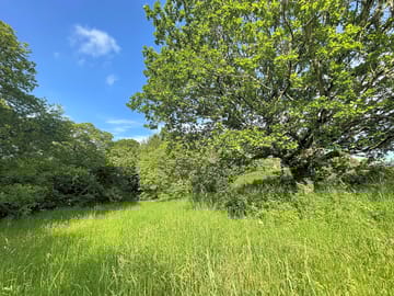 Views to the north