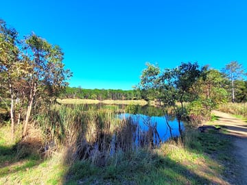 Creswick