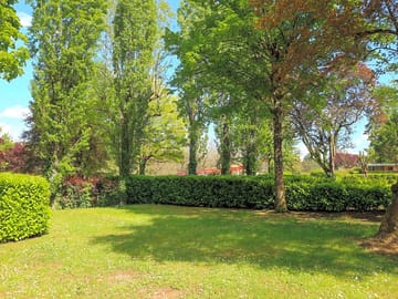 Trees and hedges all around