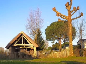 Located on an old farm