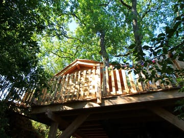 Wooden treehouse