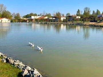 Lake on site