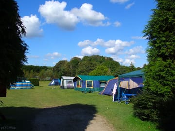 Pitches among the trees
