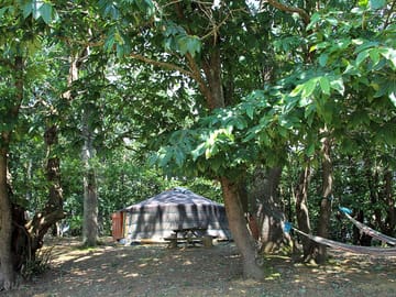 Outside the yurt