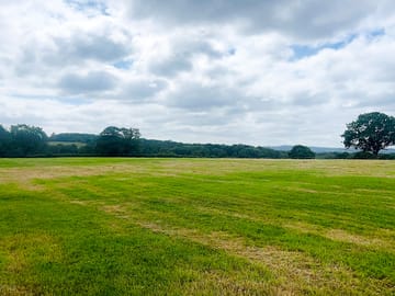 Grass pitches