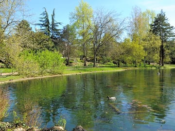 Lovely surroundings