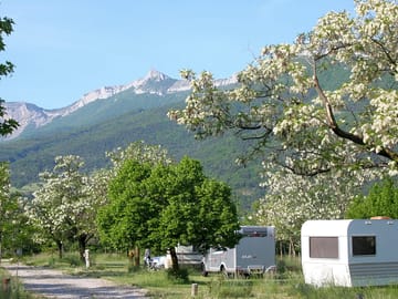 The site