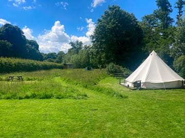 Www.toadabode.co.uk