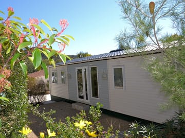 Caravan surrounded by plants