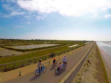 The cycle path along the coast