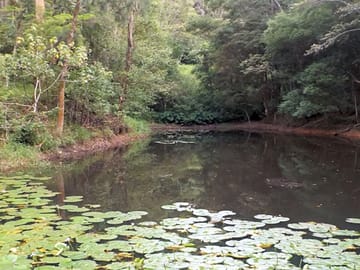 Lake on site