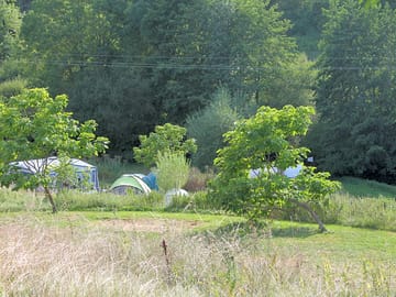 Pitches surrounded by greenery