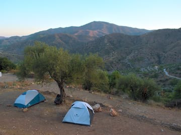 Surrounded by olive trees