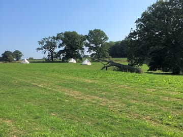 Our bell tents nestled in lush green field, bordering woodlands