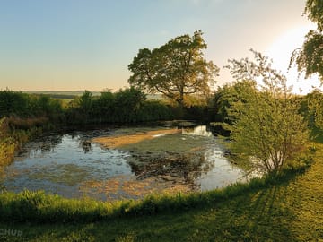 The wildlife pond on the site