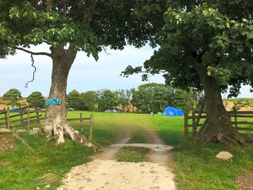 Campsite through the trees