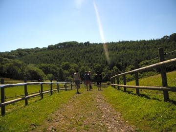 Walking trails on site