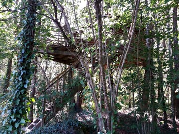 Outside a treehouse