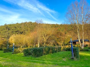 Grass pitches