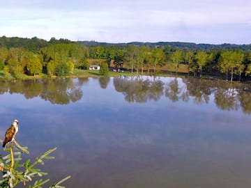 The lake