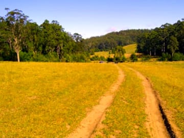 Grounds