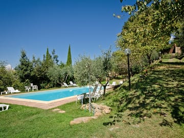 Swimming pool surrounded by greenery