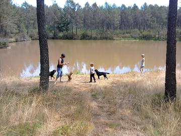 Heaven for dogs and children