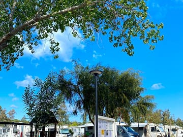Site