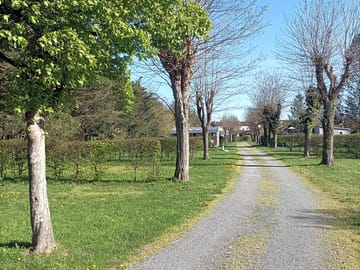 Around the site