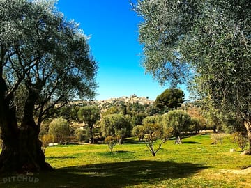 Surroundings with cagnes-sur-mer in the distance