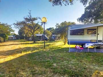 Pitches set among trees