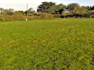 Electric pitches