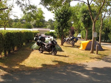 Grass pitches under the trees