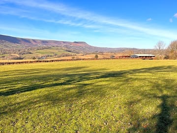 View towards cat's back