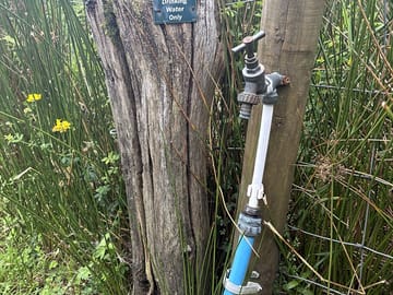 Drinking water tap